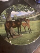 Spode plate english for sale  UK