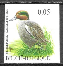 Belgium birds duck d'occasion  La Ciotat