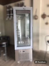 Vetrina refrigerata gelateria usato  Campagna