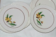 Lot assiettes plates d'occasion  La Bégude-de-Mazenc