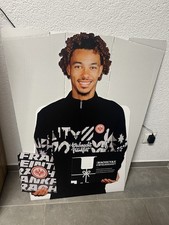 pappfigur gebraucht kaufen  Herbstein