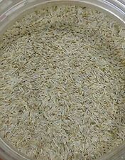 White cumin seeds d'occasion  Expédié en Belgium