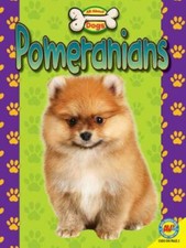 Pomeranians gray susan for sale  Aurora