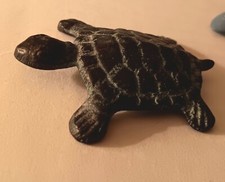 Turtle vintage natural for sale  Madison