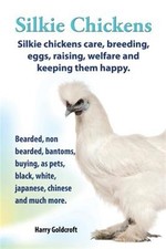 Silkie chickens care for sale  DERBY