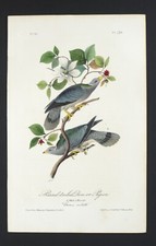Audubon 1st edition for sale  Hanover
