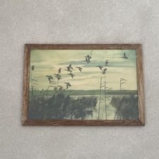 Peter scott print for sale  HASSOCKS