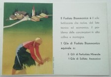 Cartolina fosfato ammoniaca usato  Roma
