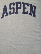 Camiseta Aspen Colorado Sking Vintage Champion Brand Cinza XXL 25 x 26 comprar usado  Enviando para Brazil