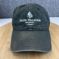 Four seasons resort for sale  Fayetteville