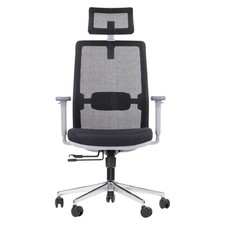 Chaise bureau ergonomique d'occasion  Expédié en France