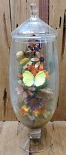 Vintage butterfly taxidermy for sale  Crystal River