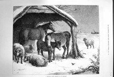 sheep shelter for sale sheep shelter for sale UK