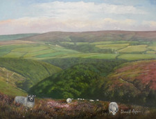 Donald ayres original for sale  COLWYN BAY