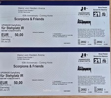 Early entry upgrade gebraucht kaufen  Burgwedel