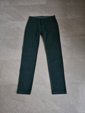 Levi two horse for sale  NEWPORT