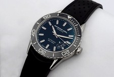 Raymond freelancer diver gebraucht kaufen  Ahrensburg