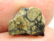 Nwa 8558 achondrite for sale  Hebron