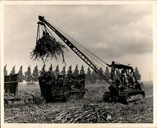 Ld332 1947 original for sale  Dixon
