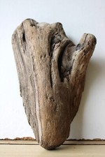 Treibholz schwemmholz driftwoo gebraucht kaufen  Halblech