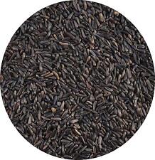 Niger nyger seed for sale  LEIGHTON BUZZARD