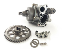 Suzuki gsxr 1100 gebraucht kaufen  Wennigsen