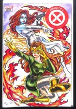 House Of X #1. Capa esboço personalizada por Sharmaene Vitto, usado comprar usado  Enviando para Brazil