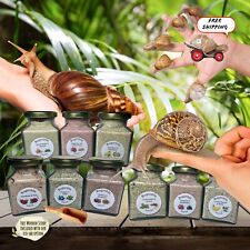 Premium land snail for sale  MANCHESTER