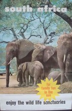 South africa elephants for sale  New York