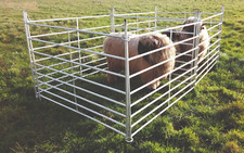 Weidepanel steckfixhorde schaf gebraucht kaufen  Großenwiehe