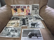 Vintage bull fighting for sale  Mechanicsville