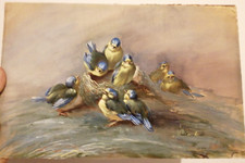 Antico dipinto olio usato  Spinetoli