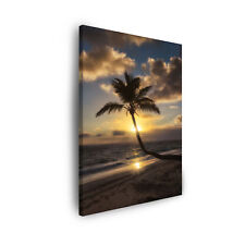 Leinwandbild natur palme gebraucht kaufen  Großröhrsdorf