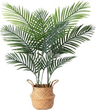 Artificial plants areca for sale  SALFORD
