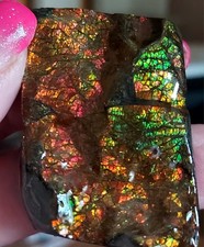 Ammolite ammonite tabletop d'occasion  Expédié en Belgium