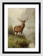 Painting animal portrait for sale  EDINBURGH