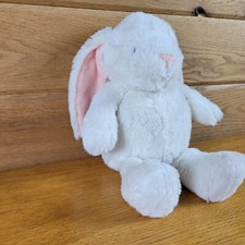 Baby carter bunny for sale  Plover