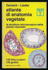 Atlante anatomia vegetale usato  Gavirate