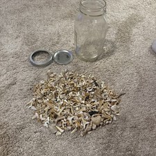 Lot assorted sharks for sale  Davidson