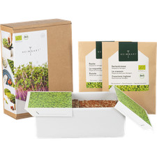 Anzuchtset microgreens porzell gebraucht kaufen  Berlin