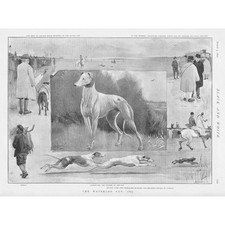 Coursing waterloo cup for sale  GLASGOW