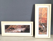 Joseph barnett photography for sale  Gorham