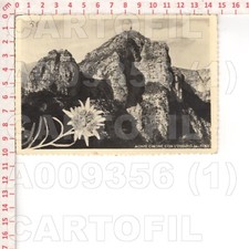 A9356 vicenza monte usato  Como