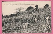Martinique culture canne d'occasion  Grièges