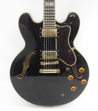 Guitarra elétrica Epiphone Sheraton II semi-acústica UD3910 #PF67YT, usado comprar usado  Enviando para Brazil