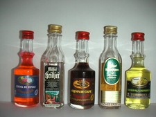 Miniaturflaschen schnaps likö gebraucht kaufen Miniaturflaschen schnaps likö gebraucht kaufen  Rutesheim