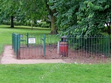 Photo 6x4 dog for sale  FAVERSHAM