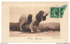 Aoap1 0012 animaux d'occasion  France