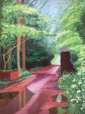 David hockney 11th for sale  ST. ALBANS
