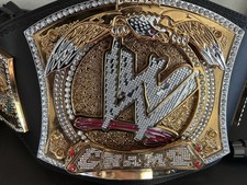 Wwe spinner title for sale  Katy
